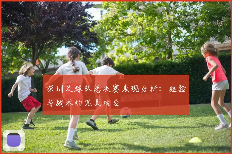 深圳足球队总决赛表现分析：经验与战术的完美结合