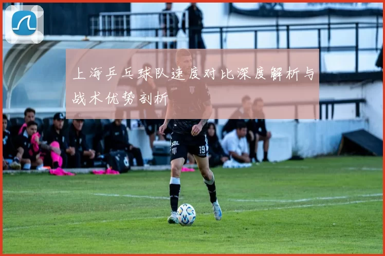 上海乒乓球队速度对比深度解析与战术优势剖析