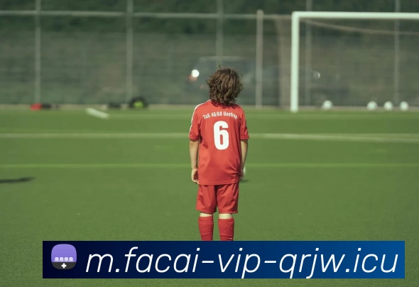 乐鱼体育服务体系